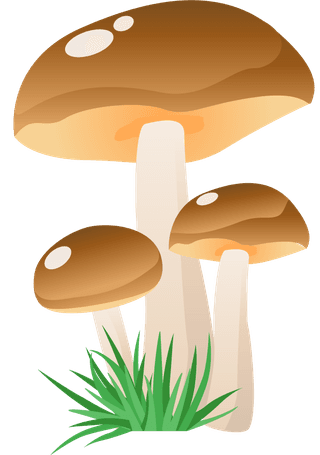 simplemushroom-forest-illustration-977252
