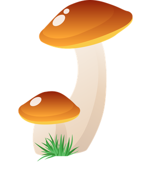 simplemushroom-forest-illustration-974905