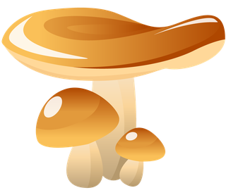 simplemushroom-forest-illustration-972777