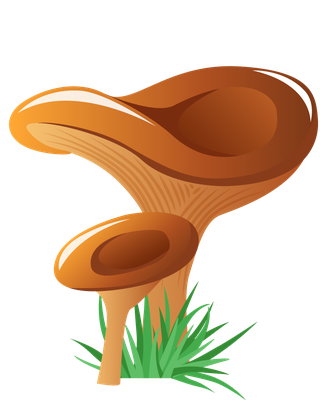 simplemushroom-forest-illustration-985624