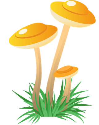 simplemushroom-forest-illustration-990760