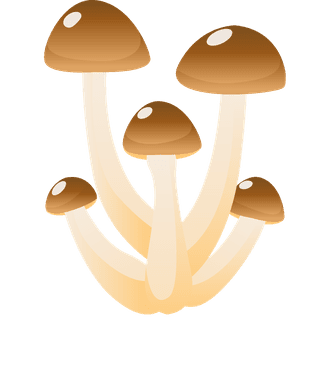 simplemushroom-forest-illustration-988581