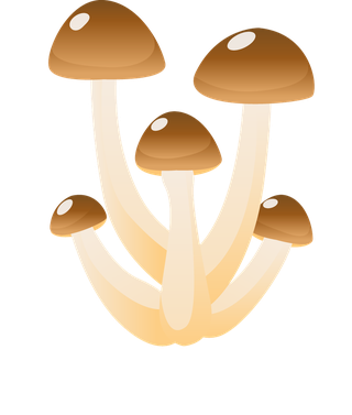 simplemushroom-forest-illustration-988581