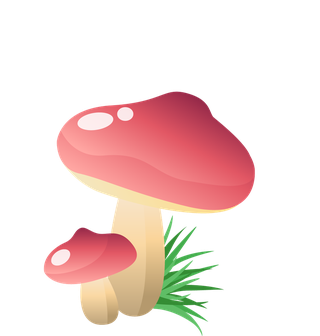 simplemushroom-forest-illustration-980858