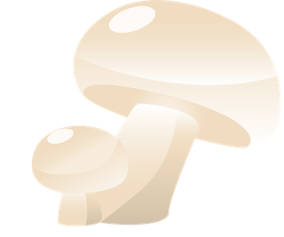 simplemushroom-forest-illustration-998158