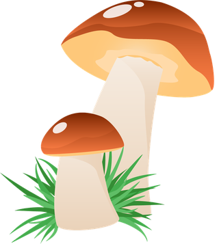 simplemushroom-forest-illustration-982719