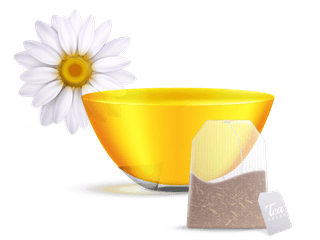 foursquare-realistic-tea-brewing-bag-icon-set-with-hibiscus-chamomile-green-black-tea-flavors-526284