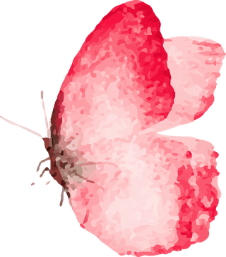fourwatercolor-butterflies-isolated-on-white-911376