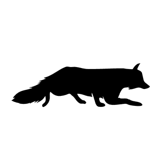 foxsilhouette-different-pose-and-positions-812932