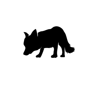 foxsilhouette-different-pose-and-positions-831208