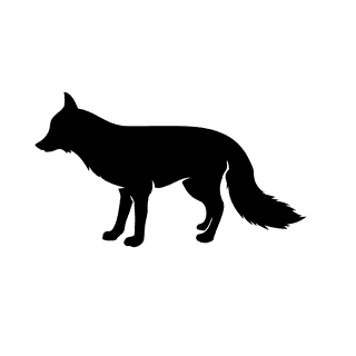 foxsilhouette-different-pose-and-positions-834341