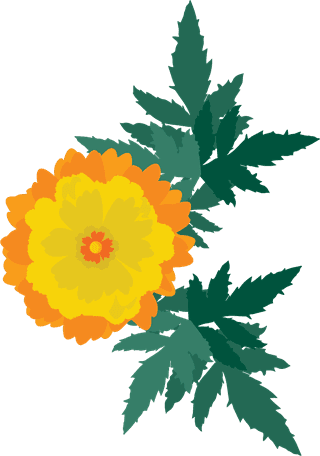 freecalendula-flowers-vector-148274