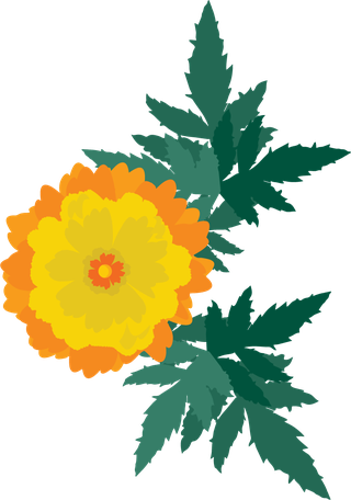 freecalendula-flowers-vector-148274