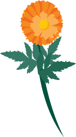 freecalendula-flowers-vector-410195