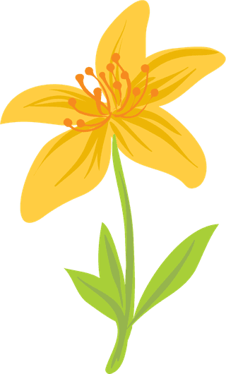 freeflowers-vectors-including-calendula-st-john-s-wort-clover-in-differ-731616