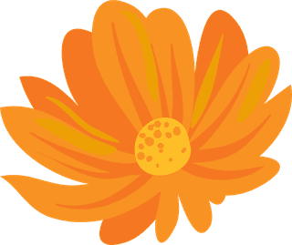 freeflowers-vectors-including-calendula-st-john-s-wort-clover-in-differ-652943