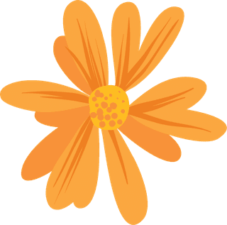 freeflowers-vectors-including-calendula-st-john-s-wort-clover-in-differ-999062