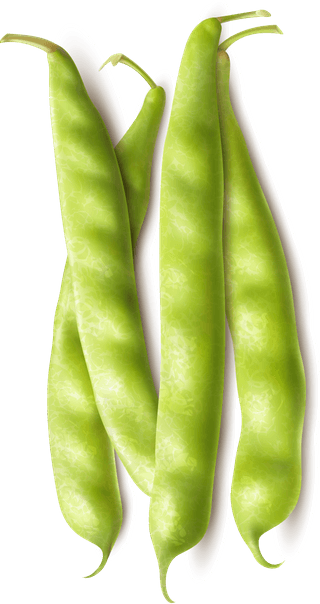 freshfarmer-market-green-beans-realistic-set-with-whole-cut-pods-ready-cook-951106