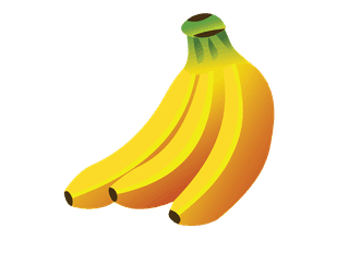 freshfruit-free-vector-fruits-graphics-261502
