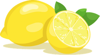 freshlemon-fruit-and-lemon-slice-illustration-702789