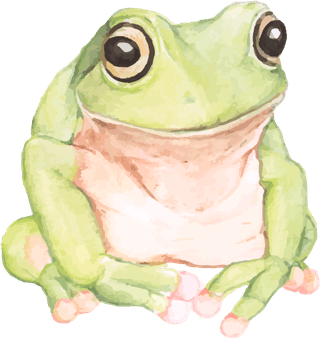 frogcollection-hand-drawn-animals-759995