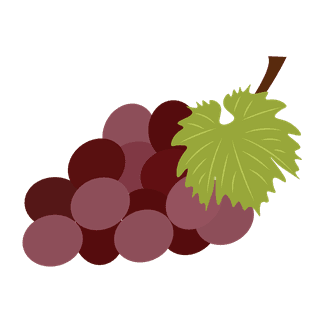 simplecolorful-fruit-illustration-422892