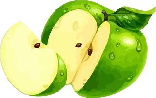 fruitfulbeing-an-illustrator-watercolor-vector-688742