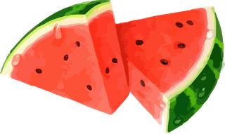 fruitfulbeing-an-illustrator-watercolor-vector-416780