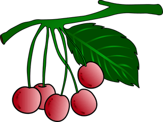 frutacor-vermelho-cereja-vetor-de-cacho-99663