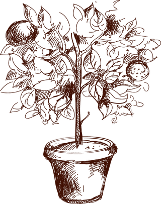handdrawn-gardening-plant-sketches-876490