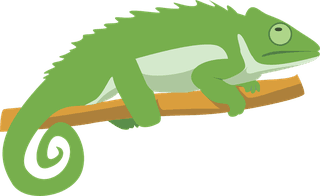 geckoreptile-creatures-icons-salamanders-gecko-sketch-colorful-design-303357