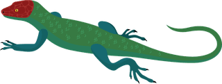 geckoreptile-creatures-icons-salamanders-gecko-sketch-colorful-design-836504