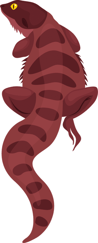 geckoreptile-creatures-icons-salamanders-gecko-sketch-colorful-design-131190