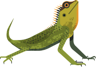geckoreptile-creatures-icons-salamanders-gecko-sketch-colorful-design-585551