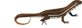 geckoreptile-creatures-icons-salamanders-gecko-sketch-colorful-design-898923