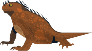 geckoreptile-creatures-icons-salamanders-gecko-sketch-colorful-design-783876