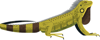 geckoreptile-creatures-icons-salamanders-gecko-sketch-colorful-design-170709