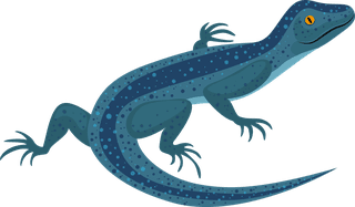 geckoreptile-creatures-icons-salamanders-gecko-sketch-colorful-design-136853