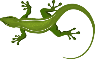 geckosreptiles-icons-crocodile-gecko-turtle-snake-frog-sketch-328367
