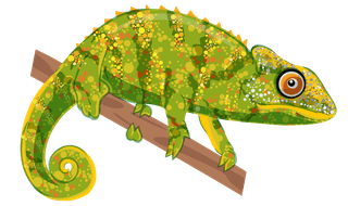 geckosreptiles-icons-crocodile-gecko-turtle-snake-frog-sketch-78375