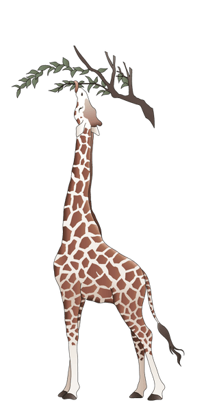 giraffeanimal-models-and-silhouette-vector-321972