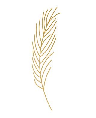 goldhand-drawn-plant-leafs-8364