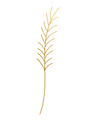 goldhand-drawn-plant-leafs-670071