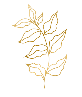goldhand-drawn-plant-leafs-392132