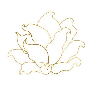 goldhand-drawn-plant-leafs-906249