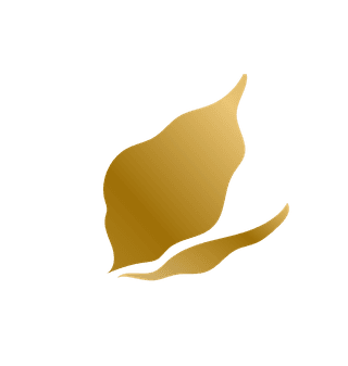goldhand-drawn-plant-leafs-735367