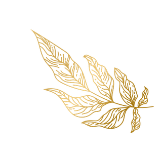 goldhand-drawn-plant-leafs-749532