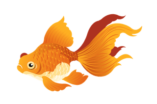 goldfishmouth-expressions-great-for-element-illustration-or-animation-876189