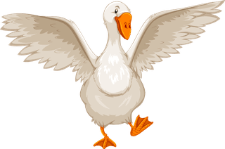 gooseset-different-birds-cartoon-style-isolated-white-background-13055