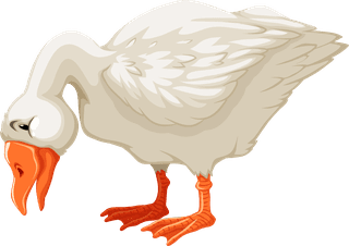 gooseset-diffrent-birds-cartoon-style-isolated-white-background-103940